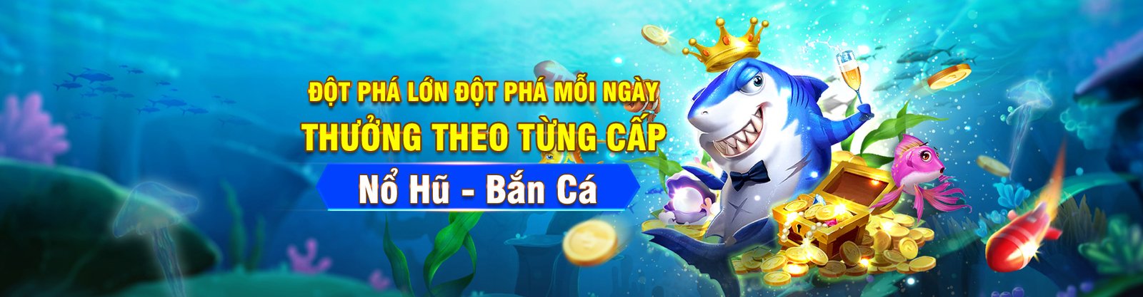 nohu-banner